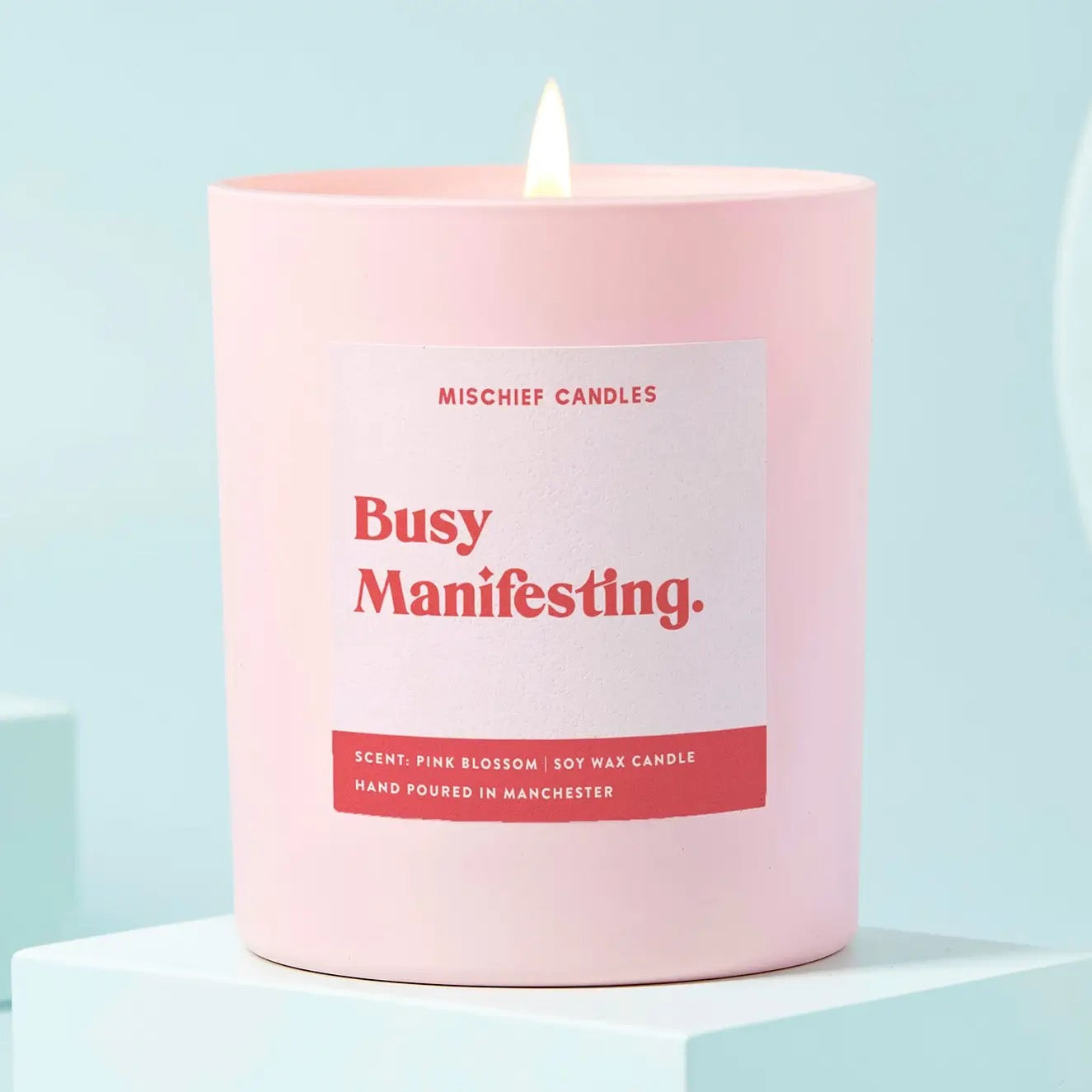 Busy Manifesting Friendship Gift - Soy Scented Candle