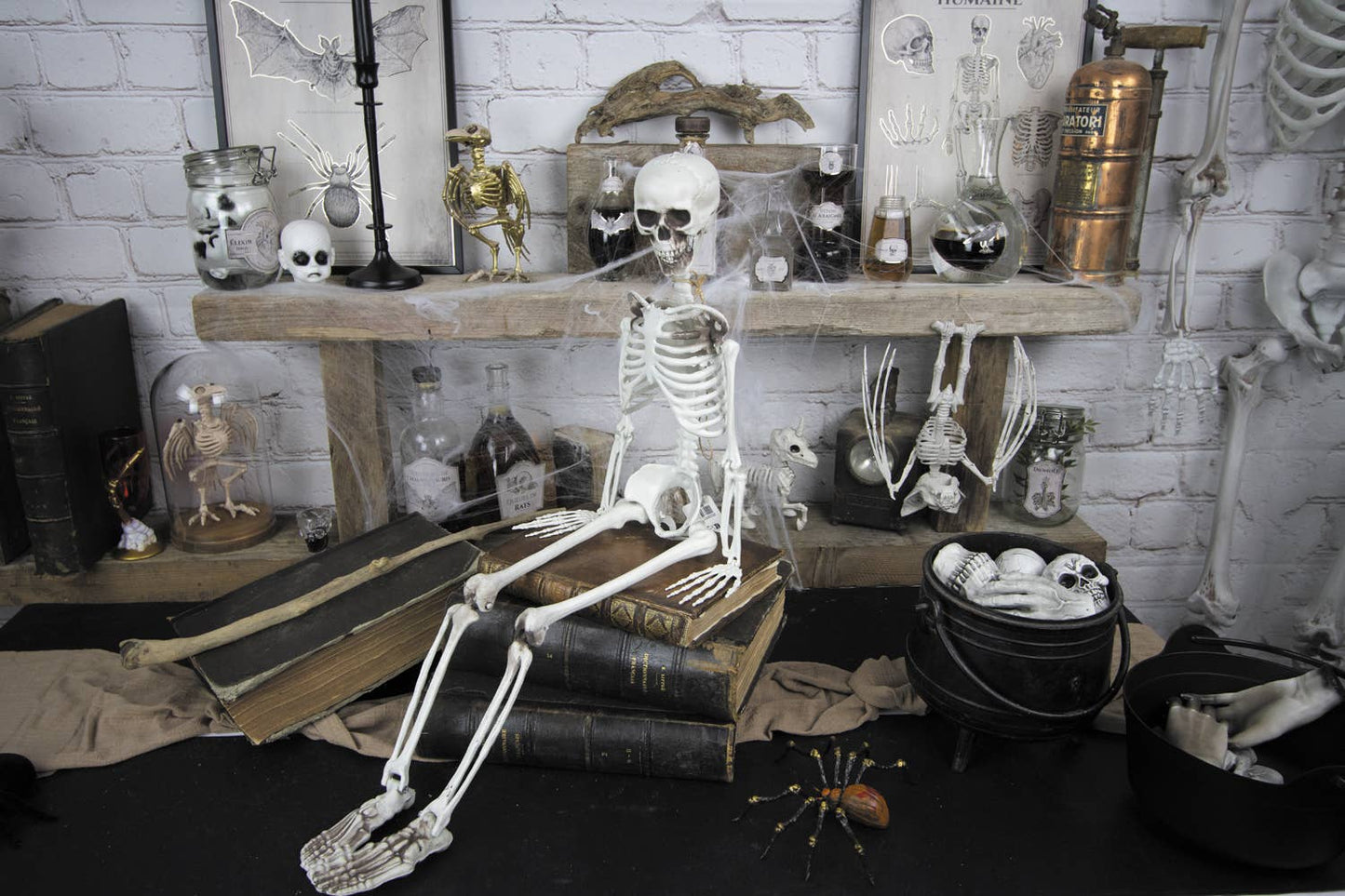 90CM SKELETON
