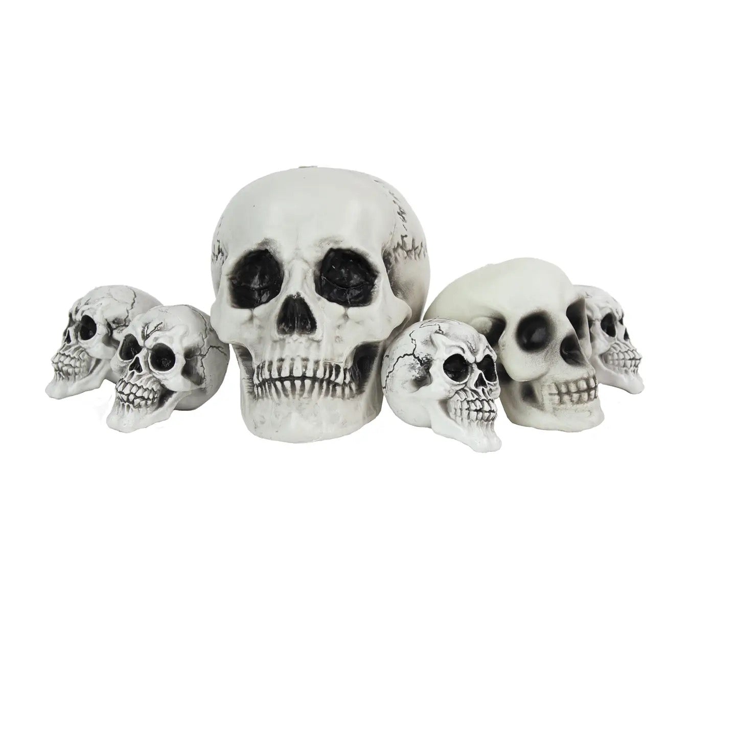 Set of 6 assorted skulls