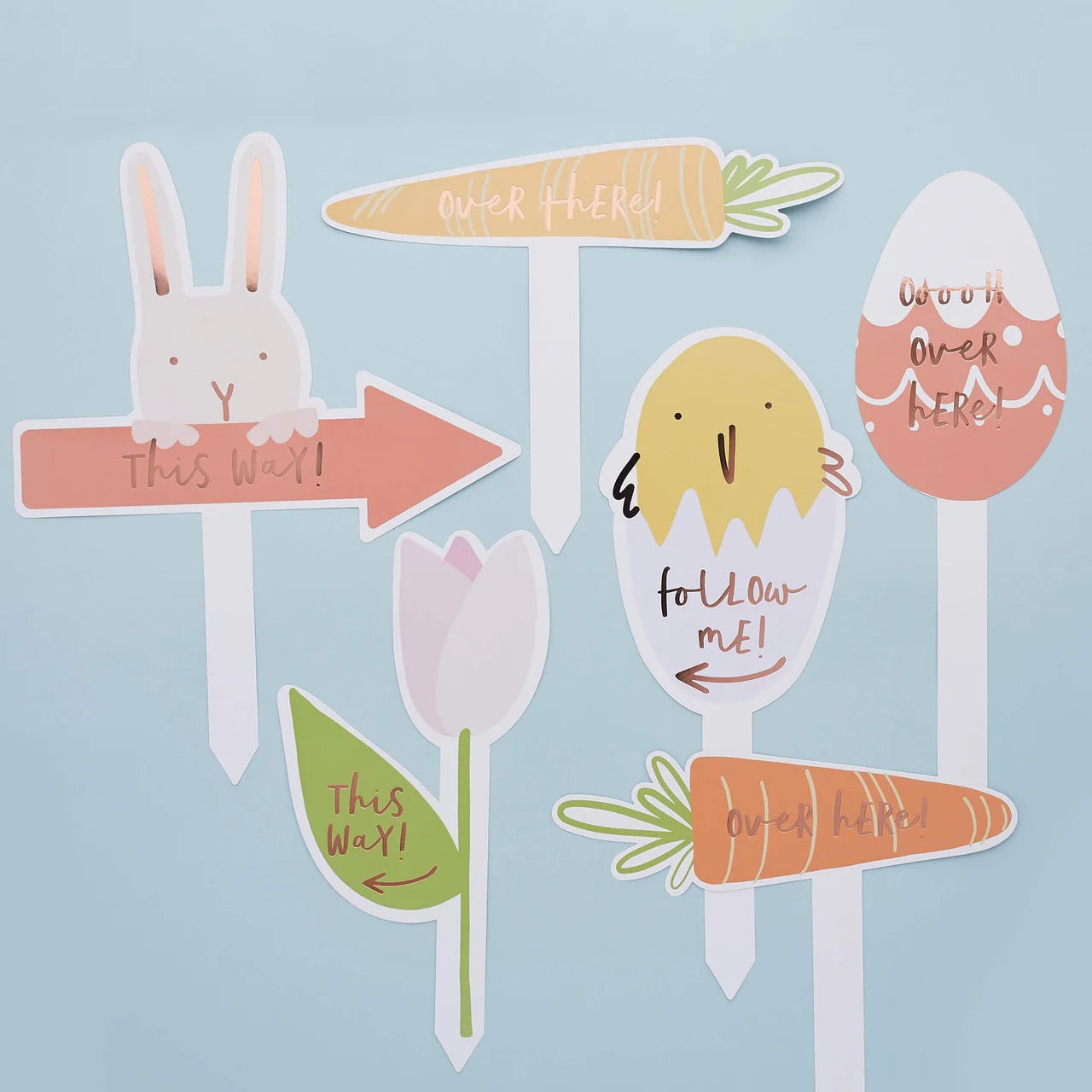 Hootyballoo Egg Hunt Kit