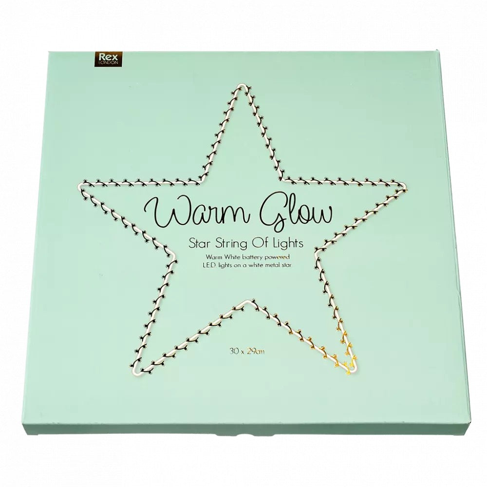 Metal Star LED Light