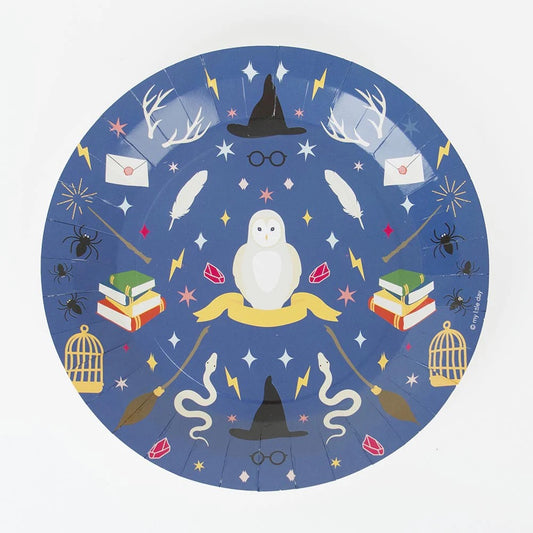 Hary Potter Themed Wizard Plates