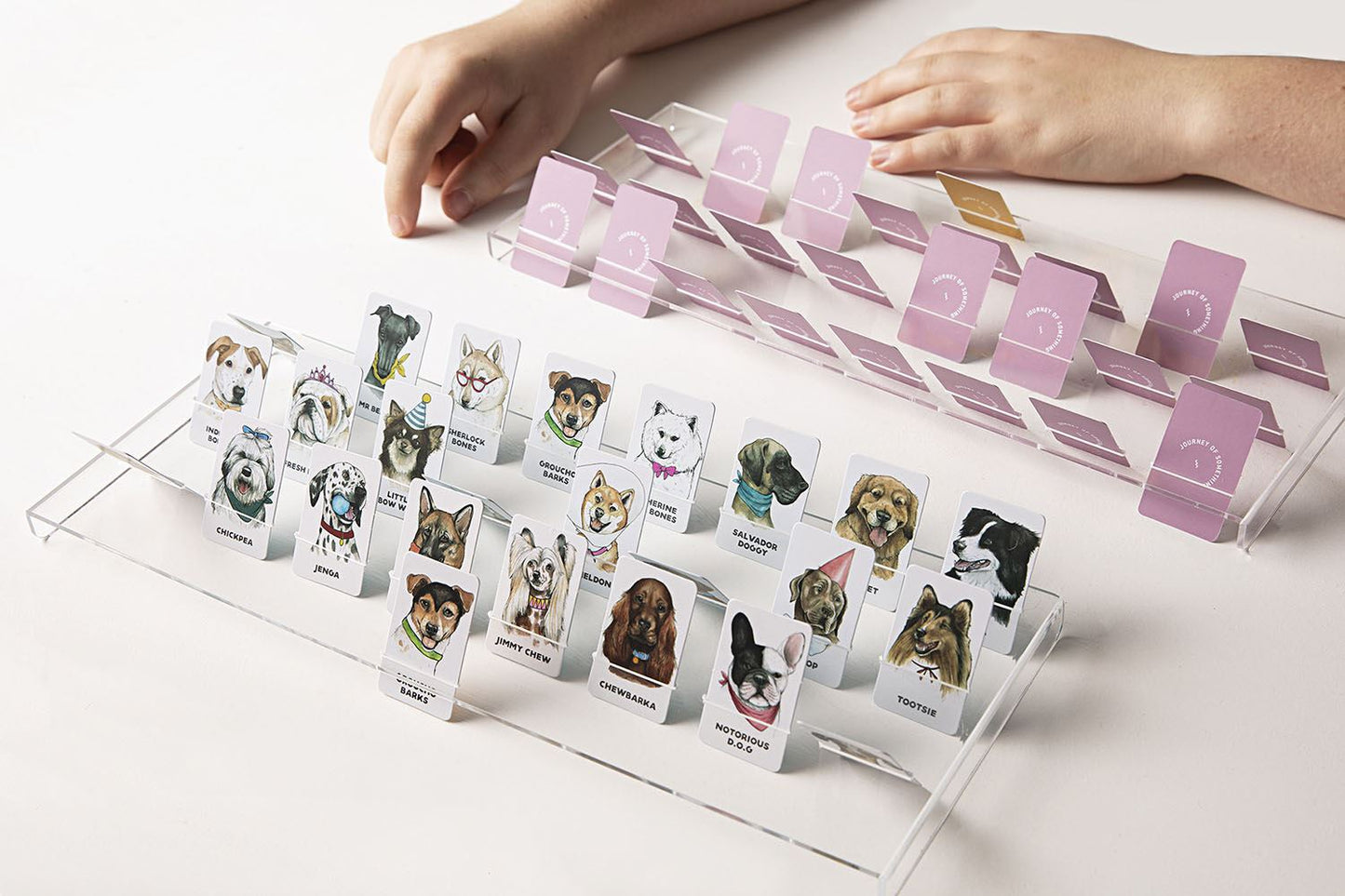 Guess the Doggy (journey of something)